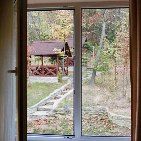 Отель Сонячна Квітка Hotel