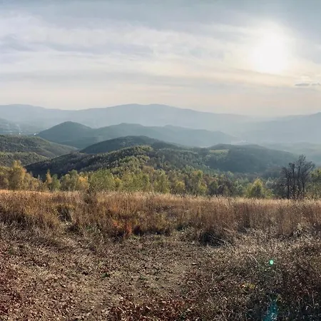 Отель Сонячна Квітка *
