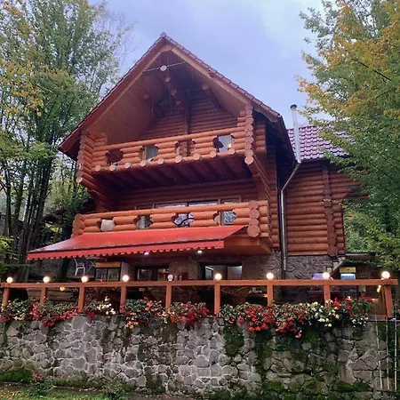 Отель Сонячна Квітка Hotel Polyana (Transcarpathia)