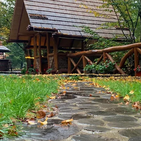 Hotel Отель Сонячна Квітка Polyana (Transcarpathia)