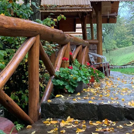 Hotel Отель Сонячна Квітка