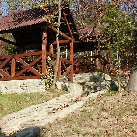 Отель Сонячна Квітка Hotel