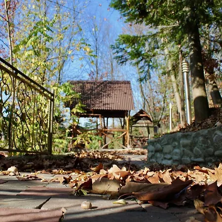 Hotel Отель Сонячна Квітка *