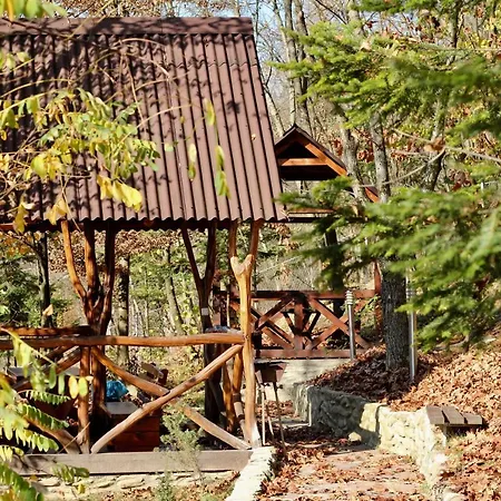 Отель Сонячна Квітка Hotel *